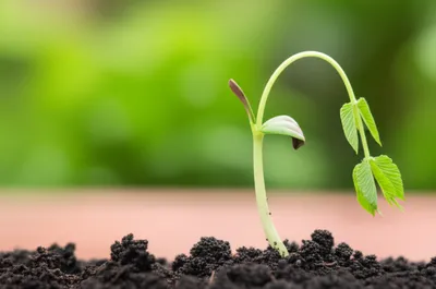 Illustration abs - Image 1