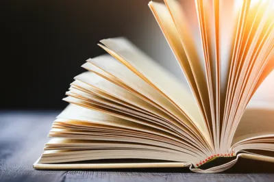 Illustration conclusion