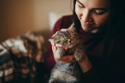 Illustration fond - Image 1