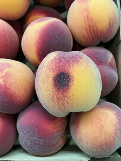 Illustration bruise - Image 1