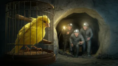 Illustration canaries - Image 1