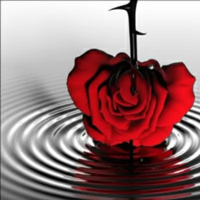 Illustration lash - Image 1