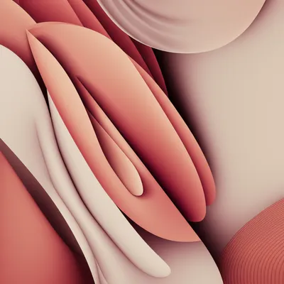 Illustration pies - Image 1