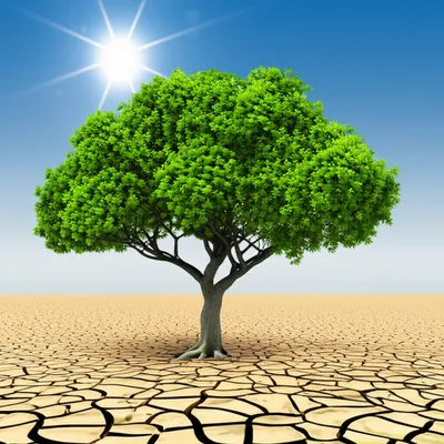 Illustration reduced - Image 1