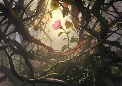 Illustration hindrances