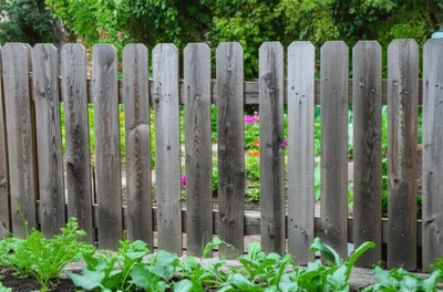 Illustration boarding - Image 1