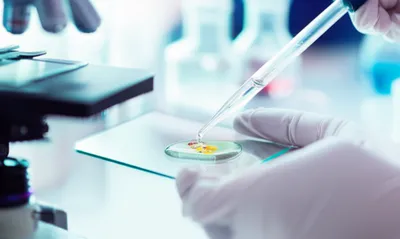 Hình ảnh minh họa sub - Ảnh 1