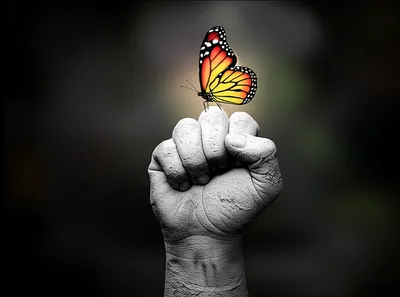 Illustration elicit - Image 1