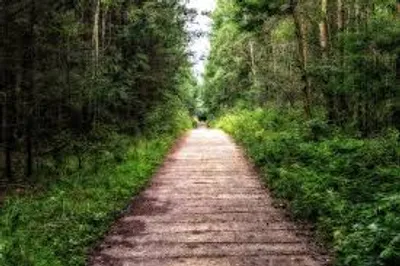 Illustration trace - Image 3