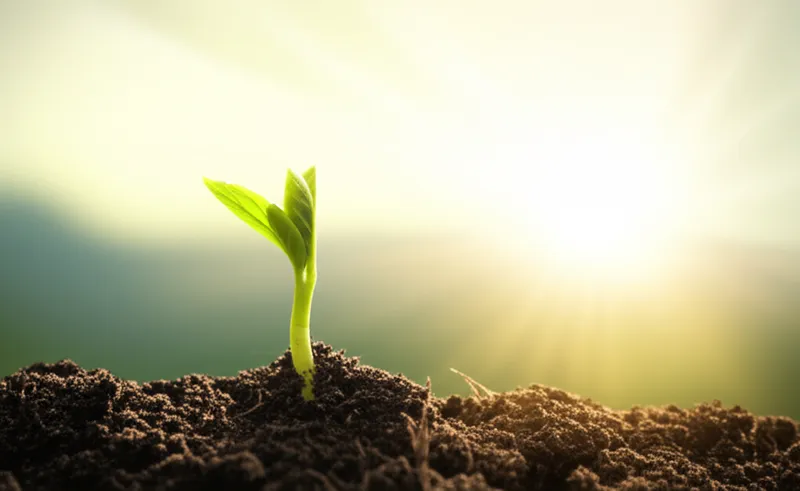 Illustration visuelle du mot « beginning » - Début, commencement