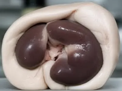 Illustration lf - Image 1