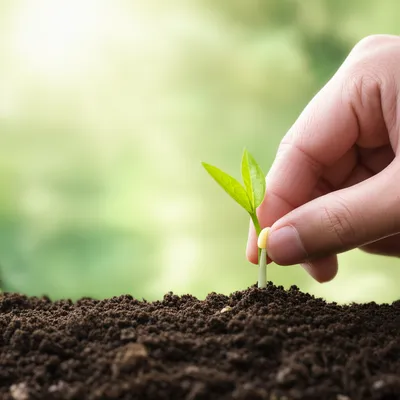 Illustration draft - Image 1