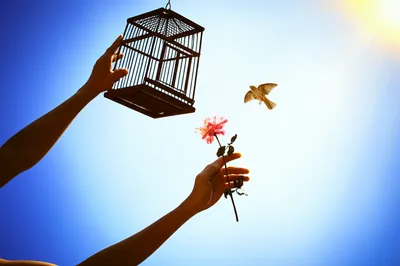 Illustration sacrificing - Image 1