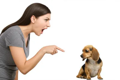 Illustration jawing - Image 1