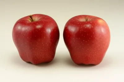 Illustration duplicate