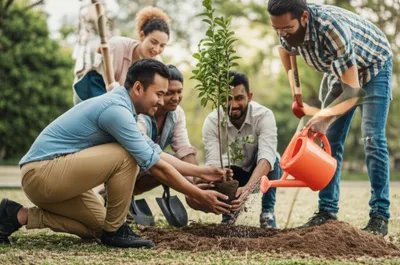 Illustration participated - Image 1