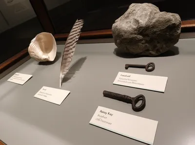 Illustration labelled - Image 1