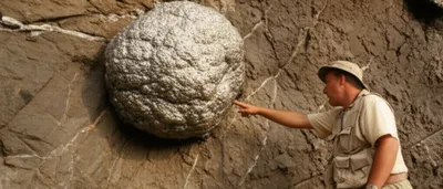 Illustration bunny - Image 1