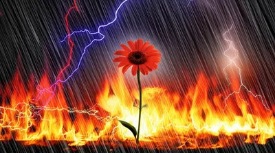 Illustration impervious - Image 1