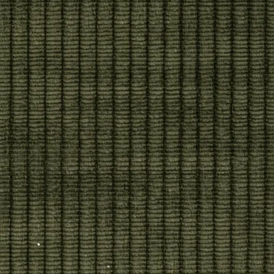 Illustration thickset - Image 1