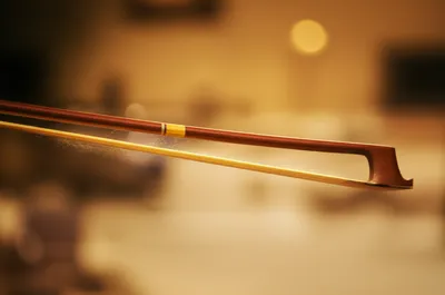 Illustration rosin - Image 1