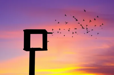 Illustration dashes - Image 1