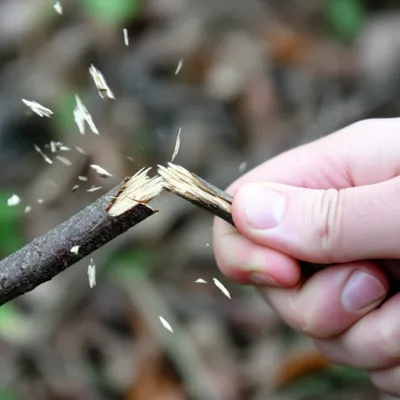 Illustration knap - Image 1