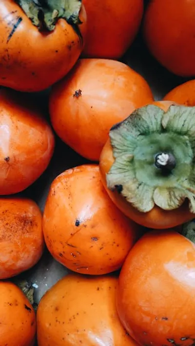 Illustration persimmon - Image 2