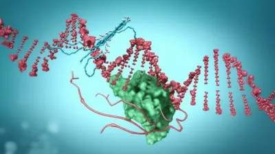 Illustration coding - Image 1