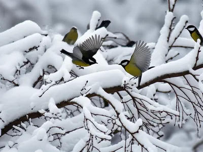 Illustration alighted - Image 1