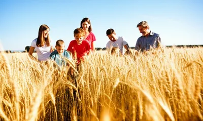 Illustration boon - Image 1