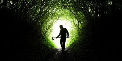 Illustration pioneers