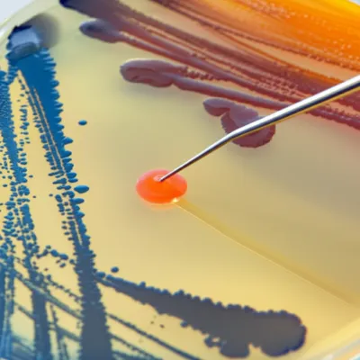 Illustration isolating - Image 1