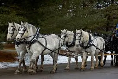 Illustration team - Image 2