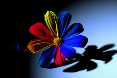 Illustration dampens - Image 1