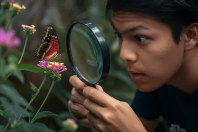 Illustration observation - Image 1