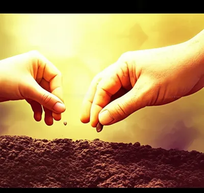 Illustration gar - Image 1