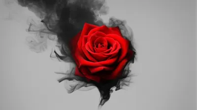 Illustration obfuscate - Image 1