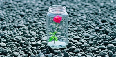 Illustration isolation - Image 1