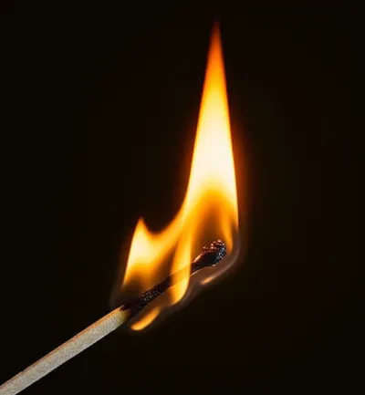 Illustration alight - Image 1