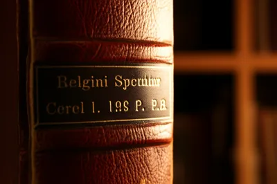 Illustration fetish - Image 1