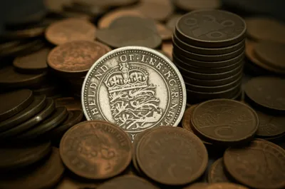 Illustration hogs - Image 1