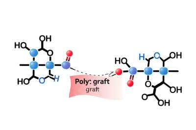 Illustration graft - Image 1