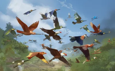 Illustration feather - Image 1