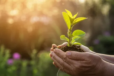 Illustration taking - Image 1