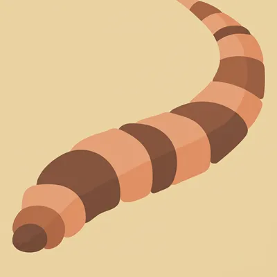 Illustration worm - Image 1