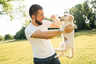 Illustration bitch - Image 1