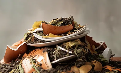 Illustration mull - Image 1