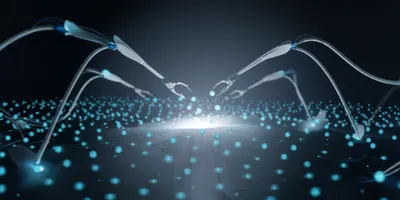 Illustration harvesters - Image 1