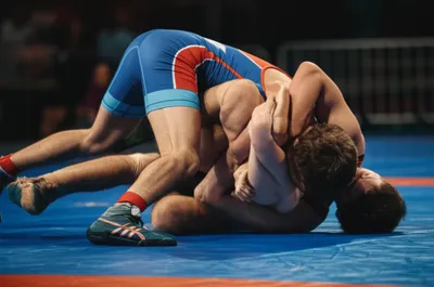 Illustration wrestled - Image 1